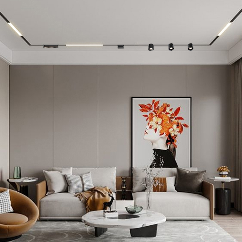 LED Downlights